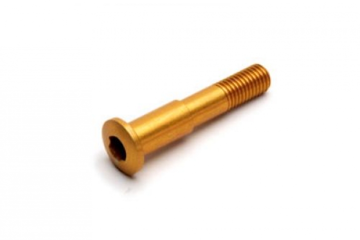 Ducati 748-998 brake lever bolt