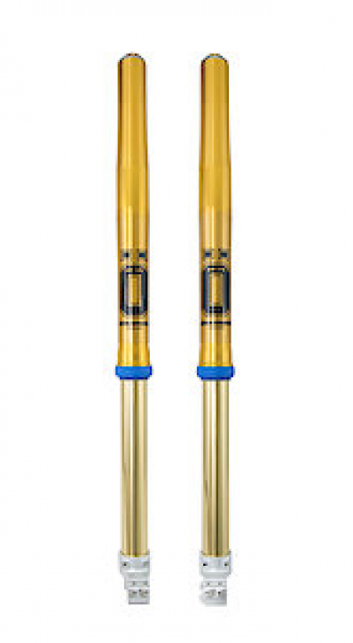 Öhlins RFX 48 upside down Gabel für Ducati Desmo 450 MX