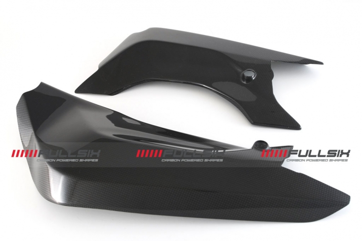 Carbon Schwingenschutz für Ducati Panigale 899 / 959