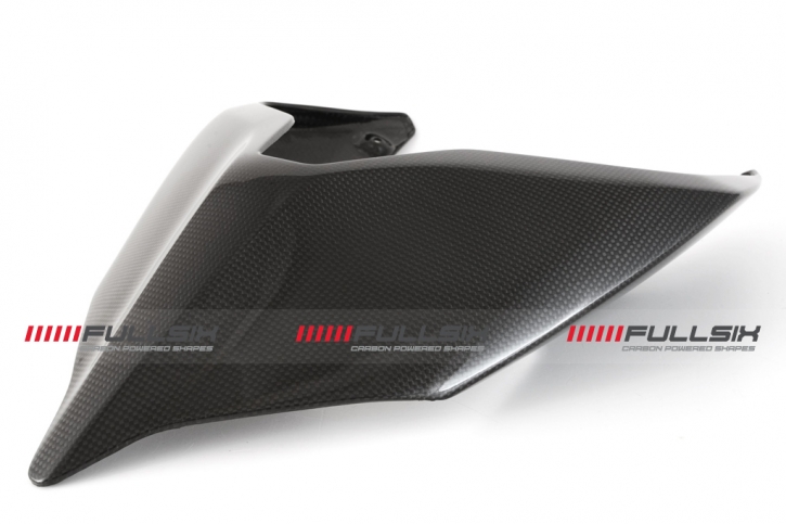 Carbon Heck Strada für Ducati Panigale V4/ Streetfighter V4 2020-