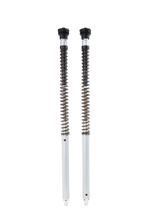 Öhlins 30 mm NIX Cartridge Kit BMW Rnine T 2024-2026