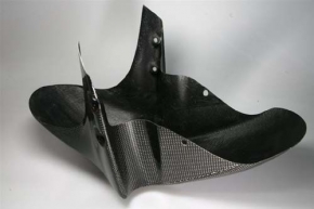 carbon front fender