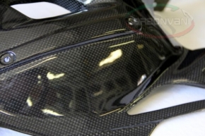 Carbon Schwingeschutz MV Brutale 10-