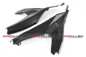Carbon Heckrahmenabdeckungen für Ducati Panigale 959/ 955 V2 2020-/ STF V2 2022-