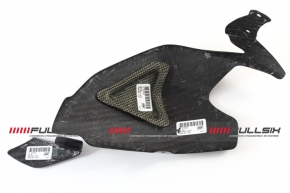 Carbon Schwingenschutz für Ducati Panigale 955 V2 2020- 1199/ 1299