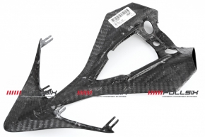 Carbon Heck Unterverkleidung für Ducati Panigale 899/ 1199