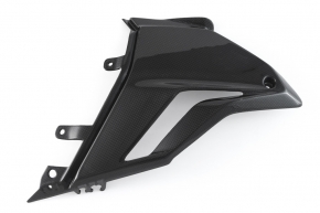 Carbonfibre lower side fairing left for Ducat Streetfighter V4 2020-
