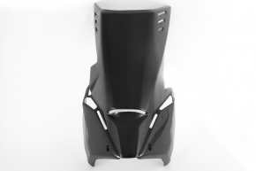 Carbon Bugwanne für Ducati Streetfighter V4 2020-