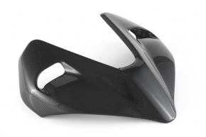 Carbonfibre headlight fariing for Ducat Streetfighter V4 2020-