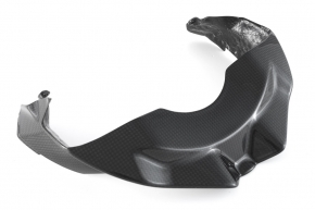 Carbonfibre lower headlight fairing for Ducat Streetfighter V4 2020-