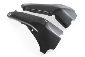 Carbon Rahmencover für Ducati Streetfighter V4 2020-