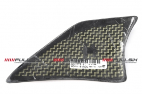 Carbon Slider für Schwingenabdeckung für Ducati Panigale V4