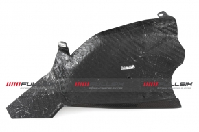 Carbonfibre swingarm cover for Ducati Pangiale V4/ R
