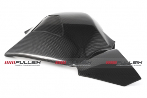 Carbonfibre swingarm cover for Ducati Pangiale V4/ R