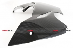 Carbon Verkleidungswanne links unten für Ducati Panigale V4