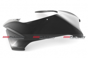 Carbon Verkleidungsoberteil für Ducati Panigale V4