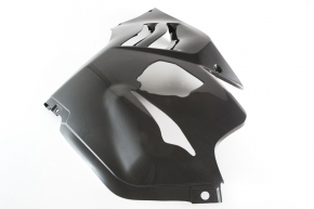 Carbon Verkleidungsseitenteil links Race für Ducati Panigale V4 R