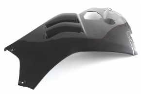 Carbon Verkleidungsseitenteil links Race für Ducati Panigale V4 R