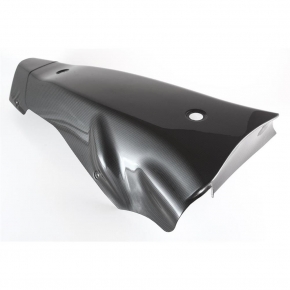 Carbon Bugwanne für Ducati Panigale V4 R / RS