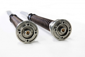 Öhlins Racing TTX25 FKR221 für Aprilia RSV4 2017-