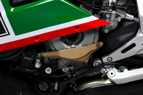 Bonamici Motorschutzcover Ducati Panigale V2 2020-2024